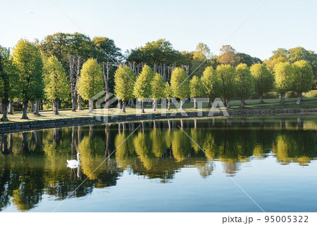 Lake with white swan 95005322