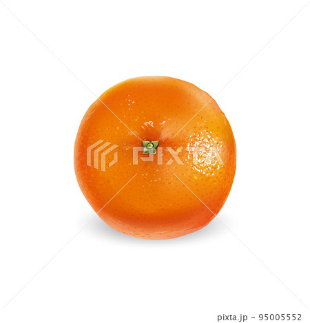 Ripe unpeeled orange on a white background. 95005552