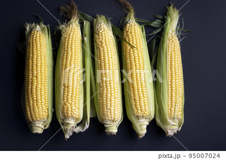 corn cobs on black background 95007024
