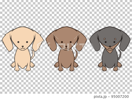Sitting dachshund 3 types Sitting dachshund 3 types 95007200