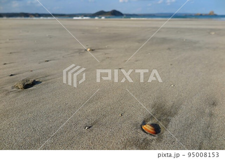 人のいない海辺の砂浜（ローアングルで大部分砂浜） 95008153