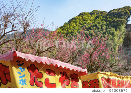 藤川天神の梅祭り 95008672