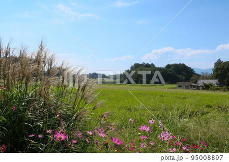 奈良・桜井市 山田寺跡を遠くから眺める 奈良・桜井市 山田寺跡を遠くから眺める 95008897