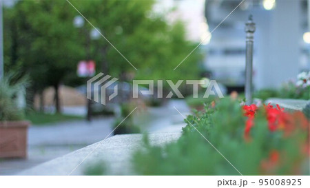 花壇の向こうの写真素材 [95008925] - PIXTA