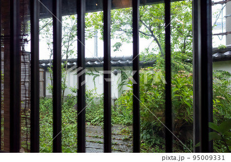 【日本】長野、千曲市の蕎麦屋の格子窓越しに望む雨模様の中庭 95009331