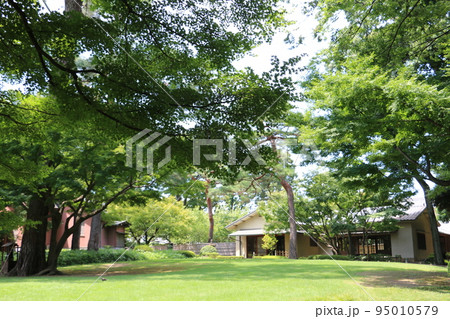 盛夏の大田黒公園 盛夏の大田黒公園 95010579