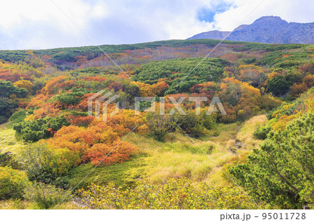 紅葉真っ盛りな御嶽山　ロープウェイ〜8合目 95011728