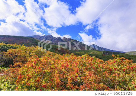 紅葉真っ盛りな御嶽山 ロープウェイ〜8合目 紅葉真っ盛りな御嶽山 ロープウェイ〜8合目 95011729