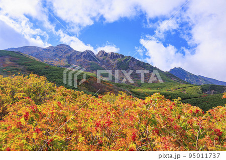 紅葉真っ盛りな御嶽山　ロープウェイ〜8合目 95011737