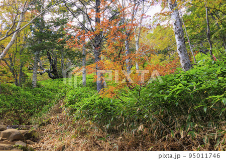 紅葉真っ盛りな御嶽山 ロープウェイ〜8合目 紅葉真っ盛りな御嶽山 ロープウェイ〜8合目 95011746