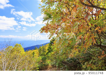 紅葉真っ盛りな御嶽山 ロープウェイ〜8合目 紅葉真っ盛りな御嶽山 ロープウェイ〜8合目 95011748