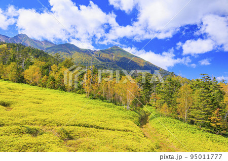 紅葉真っ盛りな御嶽山 ロープウェイ〜8合目 紅葉真っ盛りな御嶽山 ロープウェイ〜8合目 95011777