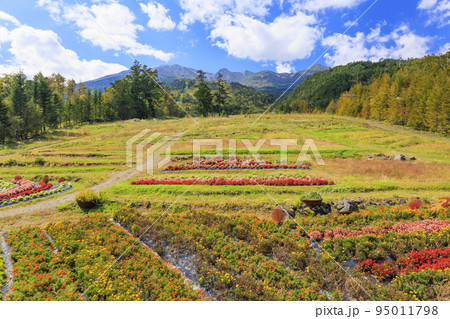 紅葉真っ盛りな御嶽山 ロープウェイ〜8合目 紅葉真っ盛りな御嶽山 ロープウェイ〜8合目 95011798