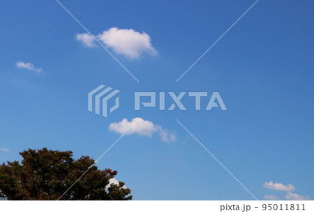 河川敷からの秋の空　爽やかな風景　鬼怒川 95011811