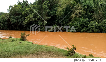 Beautiful Brown River Water in the Jungle Beautiful Brown River Water in the Jungle 95012918