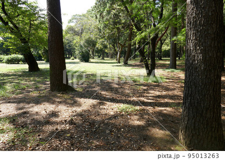 公園の風景 95013263