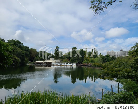 井の頭池の源頭 井の頭池の源頭 95013280