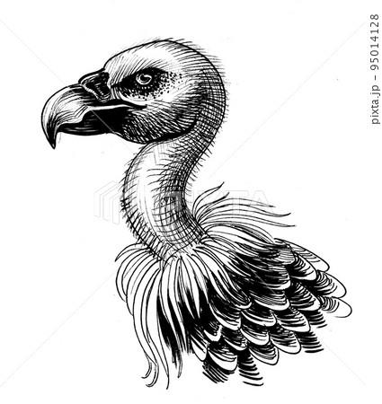 Vulture bird head. Ink black and white drawing 95014128
