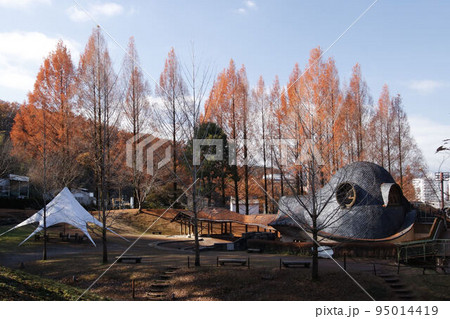 トーベ・ヤンソンあけぼの子どもの森公園の紅葉 95014419