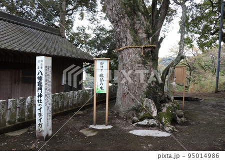 大分県別府市の人気スポット八幡竈門神社 大分県別府市の人気スポット八幡竈門神社 95014986
