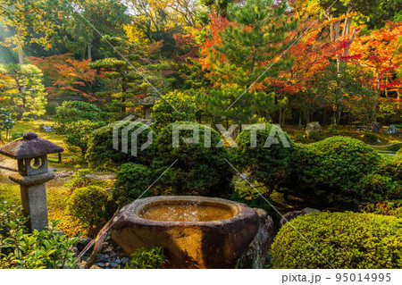 京都東山の秋 紅葉の即宗院 京都東山の秋 紅葉の即宗院 95014995