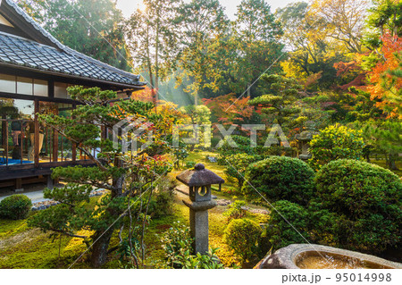 京都東山の秋 紅葉の即宗院 京都東山の秋 紅葉の即宗院 95014998