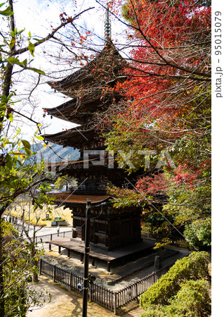 EOSR6.山口市内、頑張って紅葉五重塔。 95015079