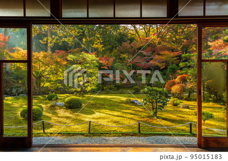 京都東山の秋 紅葉の即宗院 京都東山の秋 紅葉の即宗院 95015183