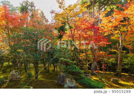京都東山の秋 紅葉の即宗院 京都東山の秋 紅葉の即宗院 95015289
