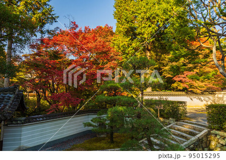 京都東山の秋 紅葉の即宗院 京都東山の秋 紅葉の即宗院 95015295