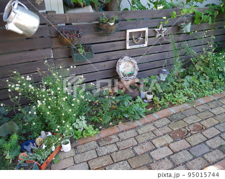 カーメリスが咲いた十月の庭 95015744