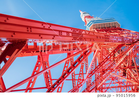 「東京都」青空と東京タワー 95015956