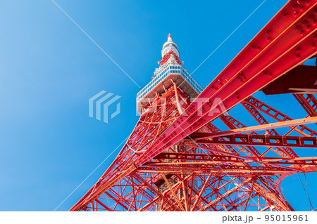 「東京都」青空と東京タワー 95015961