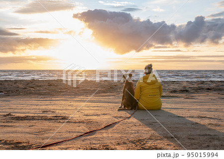 a german boxer dog sitting on the seashore during sunset with owner blonde girl team partner friend sweden melbystrand 95015994