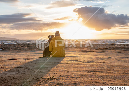 a german boxer dog sitting on the seashore during sunset with owner blonde girl team partner friend sweden melbystrand a german boxer dog sitting on the seashore during sunset with owner blonde girl team partner friend sweden melbystrand 95015998