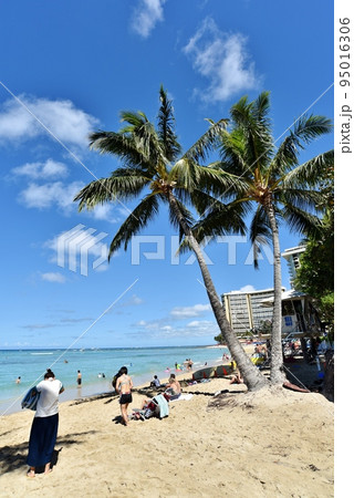 ハワイの休日 95016306