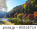 モミジの美しい香嵐渓と清流 95016714