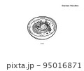 坦々麺のイラスト（線画、モノクロ） 95016871