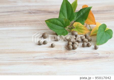 Bulbils harvested in autumn from Chinese yam, lat. Dioscorea opposita Bulbils harvested in autumn from Chinese yam, lat. Dioscorea opposita 95017042