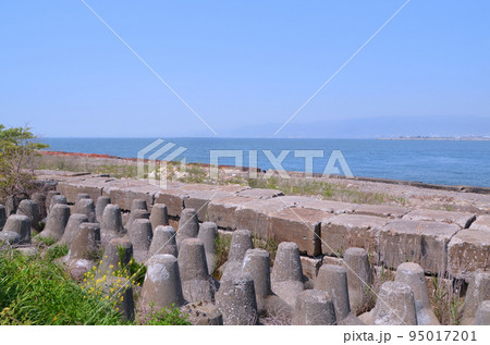 人工島の風景(大阪・舞洲) 人工島の風景(大阪・舞洲) 95017201