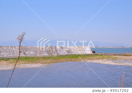 人工島の風景(大阪・舞洲) 人工島の風景(大阪・舞洲) 95017202