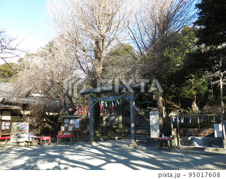 鎌倉市の葛原岡神社（参道の石鳥居付近） 95017608
