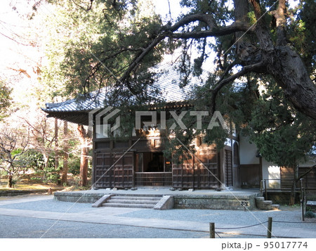 鎌倉市の浄智寺（仏殿「曇華殿」） 95017774