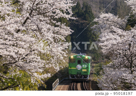 【春】只見線 柳津町付近【新緑】 95018197