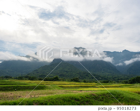 農耕 農業 アジア人 95018273