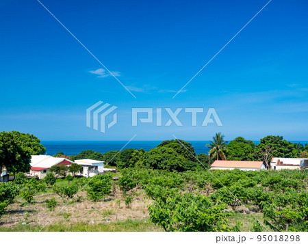 台東 台湾 景色 95018298