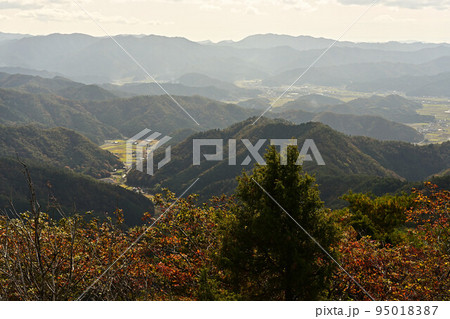 多紀連山の紅葉 多紀連山の紅葉 95018387