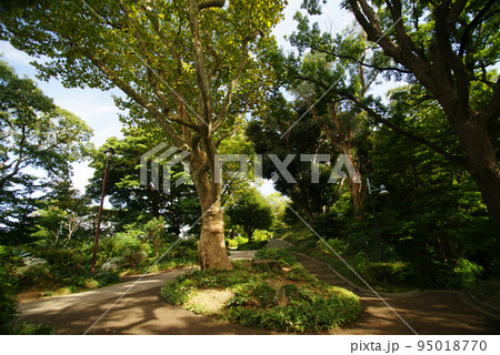 港の見える丘公園 フランス山地区の風景 95018770