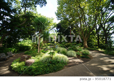 港の見える丘公園 フランス山地区の風景 95018771