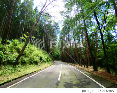 霧島ジオパーク 95018965